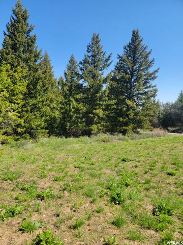0 Bare Ground, Bancroft, ID 83217 photo 9