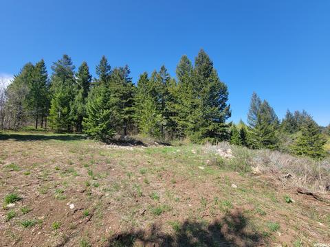 0 Bare Ground, Bancroft, ID 83217 photo 11