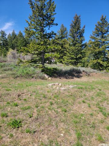 0 Bare Ground, Bancroft, ID 83217 photo 5