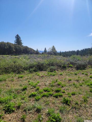 0 Bare Ground, Bancroft, ID 83217 photo 7