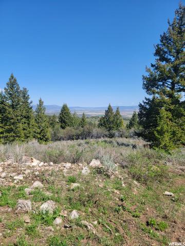 0 Bare Ground, Bancroft, ID 83217 photo 2