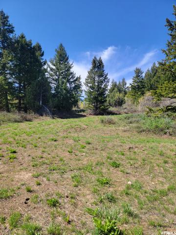 0 Bare Ground, Bancroft, ID 83217 photo 6