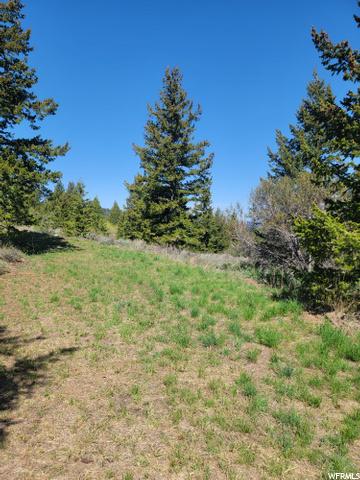 0 Bare Ground, Bancroft, ID 83217 photo 4