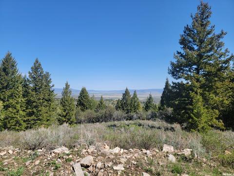 0 Bare Ground, Bancroft, ID 83217 photo 12