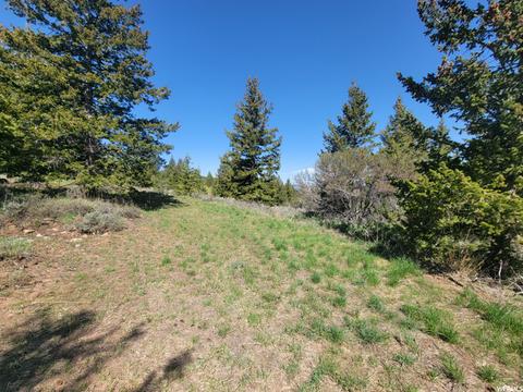 0 Bare Ground, Bancroft, ID 83217 photo 10