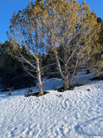 Undisclosed, Indianola, UT 84629
