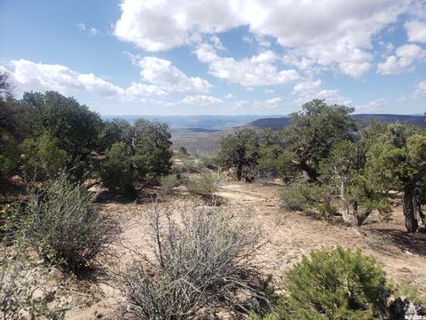 Undisclosed, Duchesne, UT 84021