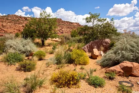 4265 E Lipizzan Jump #18, Moab, UT 84532 photo 29