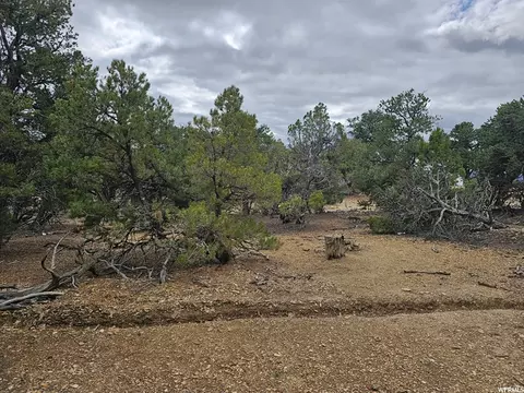 0 #6, Fruitland, UT 84027