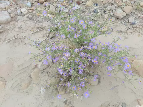 271 N Thompson Canyon Rd, Thompson, UT 84540 photo 9