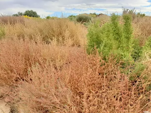 271 N Thompson Canyon Rd, Thompson, UT 84540 photo 11