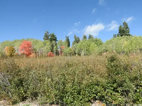 14 E Main Road Dr #14, Fairview, UT 84629