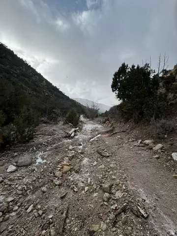 Undisclosed, Wales, UT 84667 photo 3