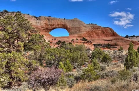 1004 N Hwy 191 #A, Moab, UT 84532 photo 4