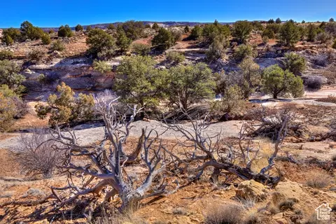 1 Phase 2 Joe Wilson Dr, Moab, UT 84532 photo 37
