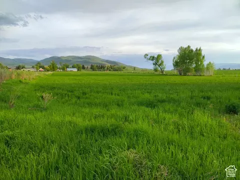 302 4th S, Dingle, ID 83233 photo 3