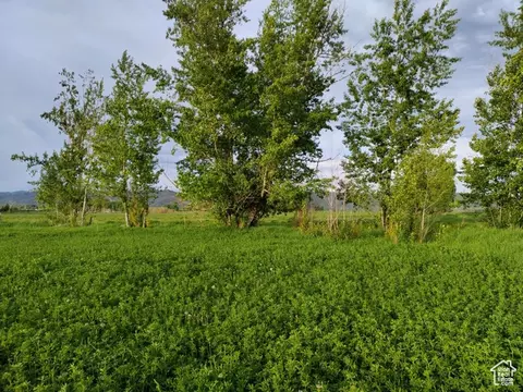 302 4th S, Dingle, ID 83233 photo 5