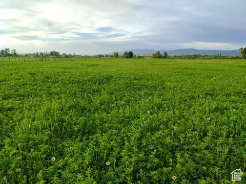 302 4th S, Dingle, ID 83233 photo 4