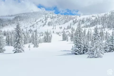 0 Brian #18, Head, UT 84719