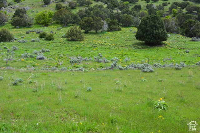 2360 N 2300 E Unit 54  