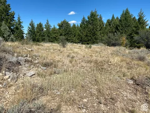 Undisclosed, Bancroft, ID 83217