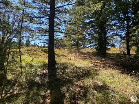 Undisclosed, Bancroft, ID 83217 photo 3