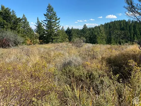 Undisclosed, Bancroft, ID 83217 photo 2