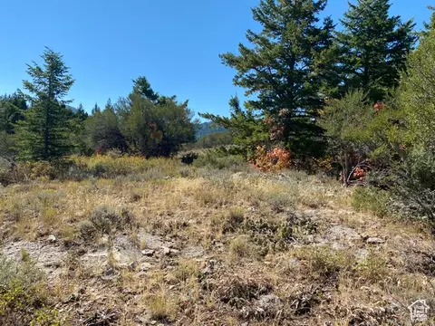 Undisclosed, Bancroft, ID 83217 photo 5