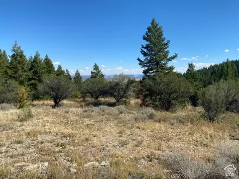 Undisclosed, Bancroft, ID 83217 photo 6