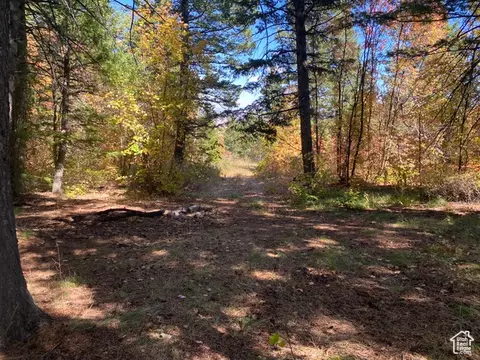 Undisclosed, Bancroft, ID 83217 photo 10