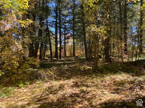 Undisclosed, Bancroft, ID 83217 photo 12