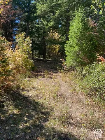 Undisclosed, Bancroft, ID 83217 photo 16