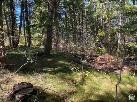 Undisclosed, Bancroft, ID 83217 photo 4
