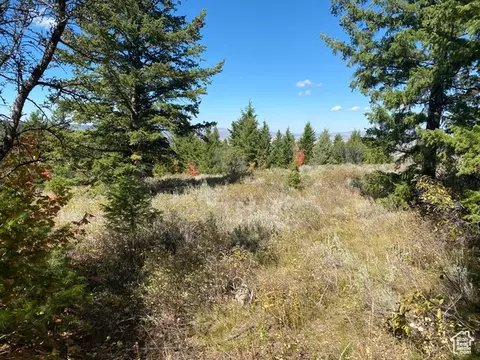 Undisclosed, Bancroft, ID 83217 photo 3