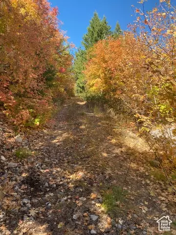 Undisclosed, Bancroft, ID 83217 photo 15