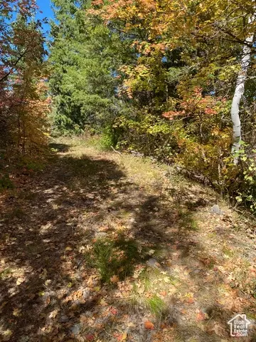 Undisclosed, Bancroft, ID 83217 photo 14