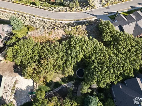 1463 E Meadow Blf #66, Draper, UT 84020 photo 9