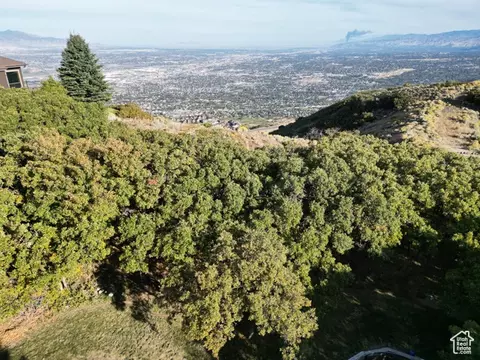 1463 E Meadow Blf #66, Draper, UT 84020 photo 5