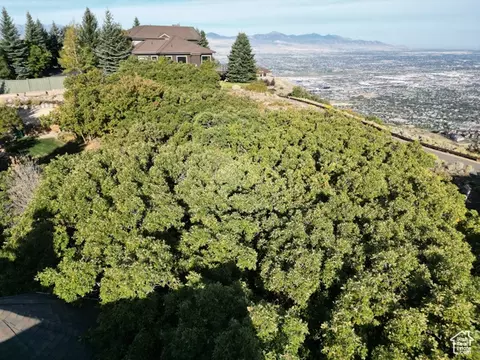 1463 E Meadow Blf #66, Draper, UT 84020 photo 13