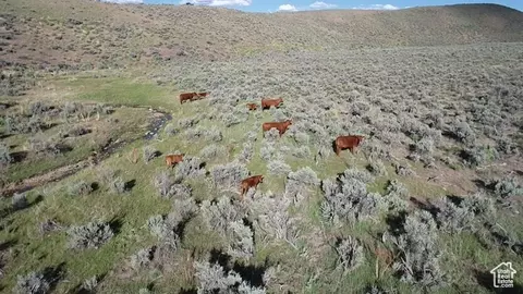 Undisclosed, Elko, NV 89801 photo 16