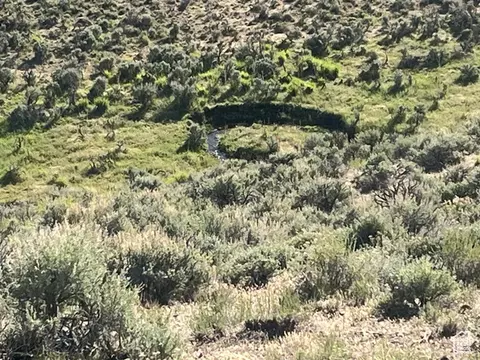 Undisclosed, Elko, NV 89801 photo 14