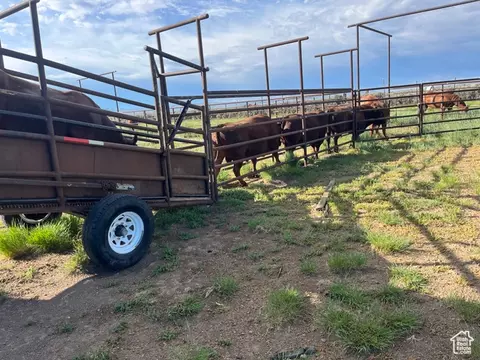 Undisclosed, Elko, NV 89801 photo 17