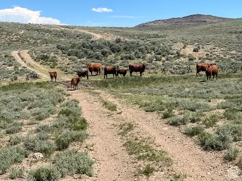 Undisclosed, Elko, NV 89801 photo 1