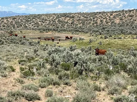 Undisclosed, Elko, NV 89801 photo 30