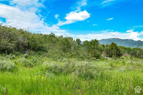 Green Canyon Rd, Inkom, ID 83245