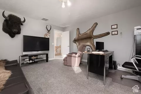 Other - 315 S 300 E, Monroe, UT 84754 photo 5 of 17
