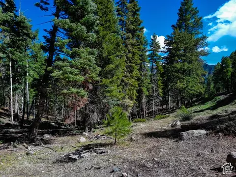 Undisclosed, Beaver, UT 84713 photo 22