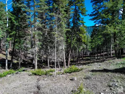 Undisclosed, Beaver, UT 84713 photo 24