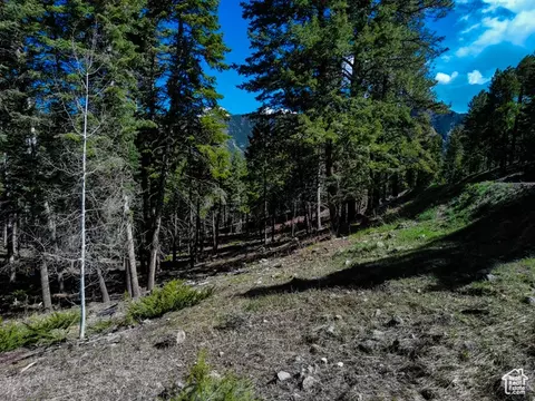 Undisclosed, Beaver, UT 84713 photo 23