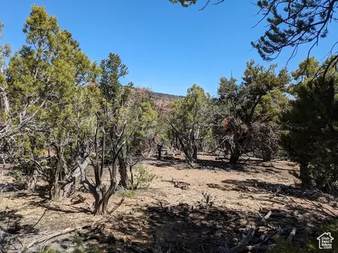 0 S 39300 W #58, Fruitland, UT 84027